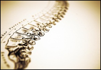 spinal-cord-injurlawyer.jpg